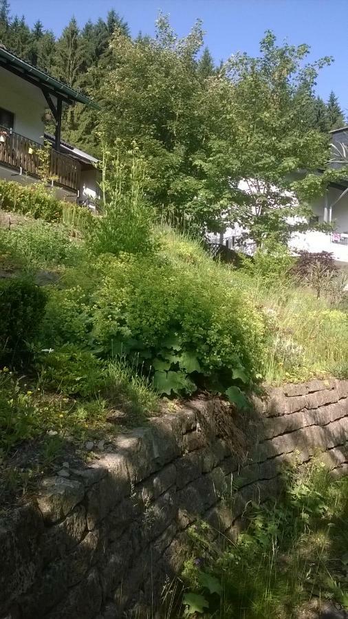 Haus Talblick Vila Schmallenberg Exterior foto